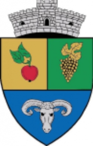 Logo Primaria Ceuasu de Campie