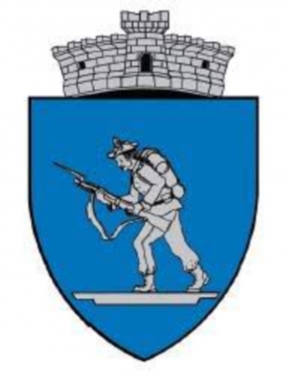 Logo Primaria Dumbravesti
