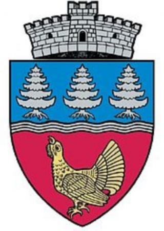 Logo Primaria Lunca Bradului