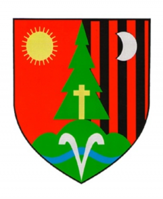 Logo Primaria Remetea
