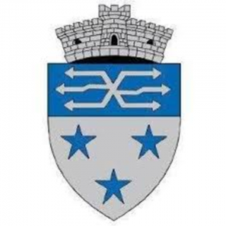 Logo Primaria Sadu