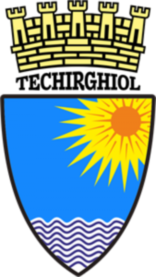 Logo Primaria Techirghiol